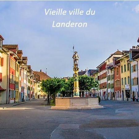 Chambre Lumineuse Dans Une Grande Villa Le Landeron Kültér fotó